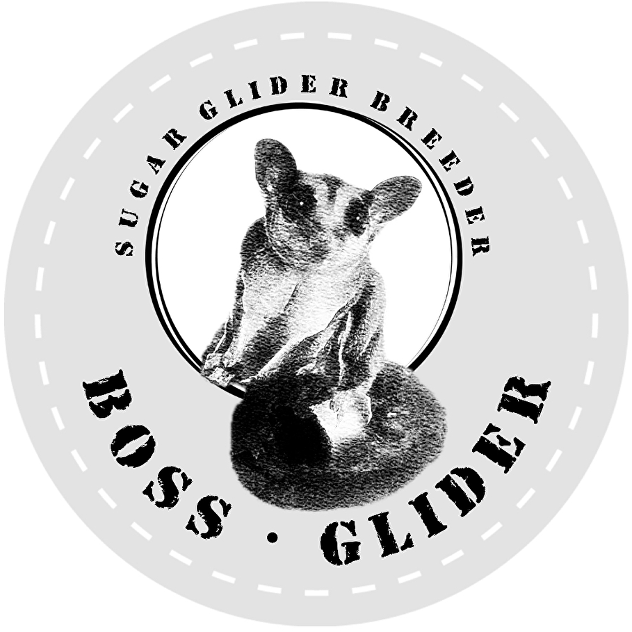 Boss Glider
